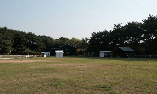 강화애견펜션 관련 이미지 - 강화애견펜션, 반려견과 함께하는 완벽한 휴식을 위한 공간 선택 가이드