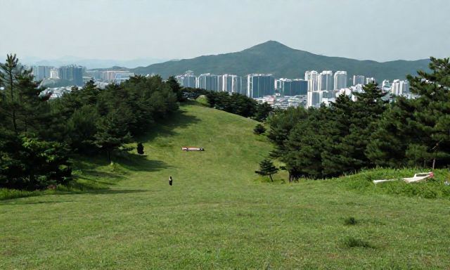청계산 관련 이미지 - 도심 속 초록빛 위로, 청계산 산행으로 찾는 온전한 휴식의 기록