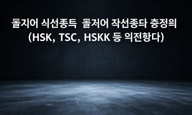 중국어시험종류 관련 이미지 - 중국어시험종류 총정리 (HSK, TSC, HSKK 등 핵심 비교)