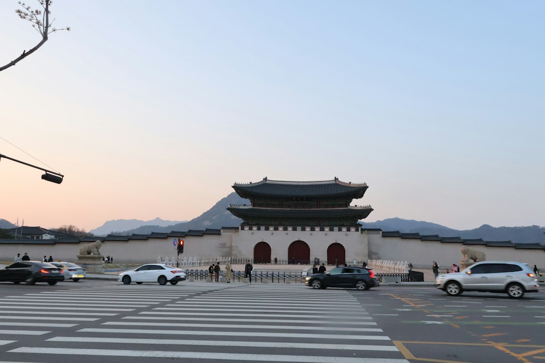 중국관광비자대행 참고 이미지 2